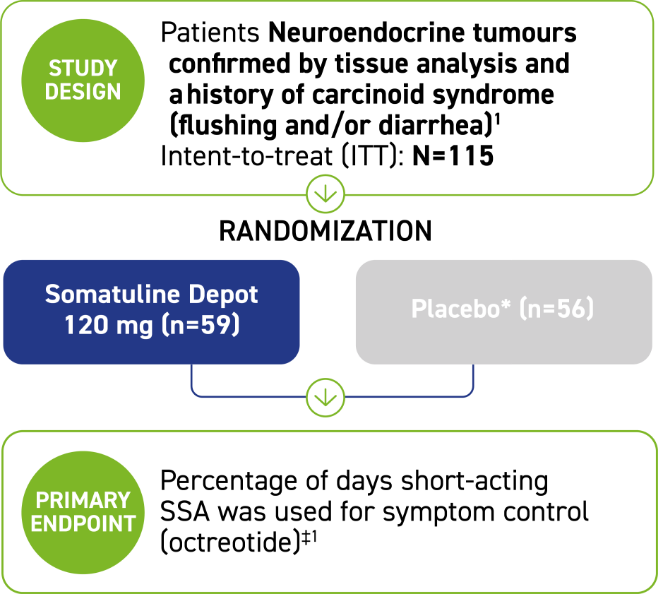 Study design and patient population information