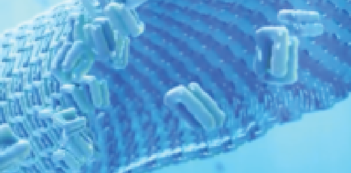 Illustration showing lanreotide nanotubes