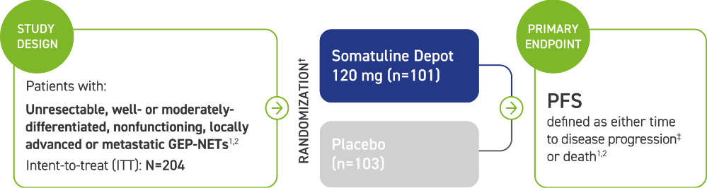 Study design and patient population information